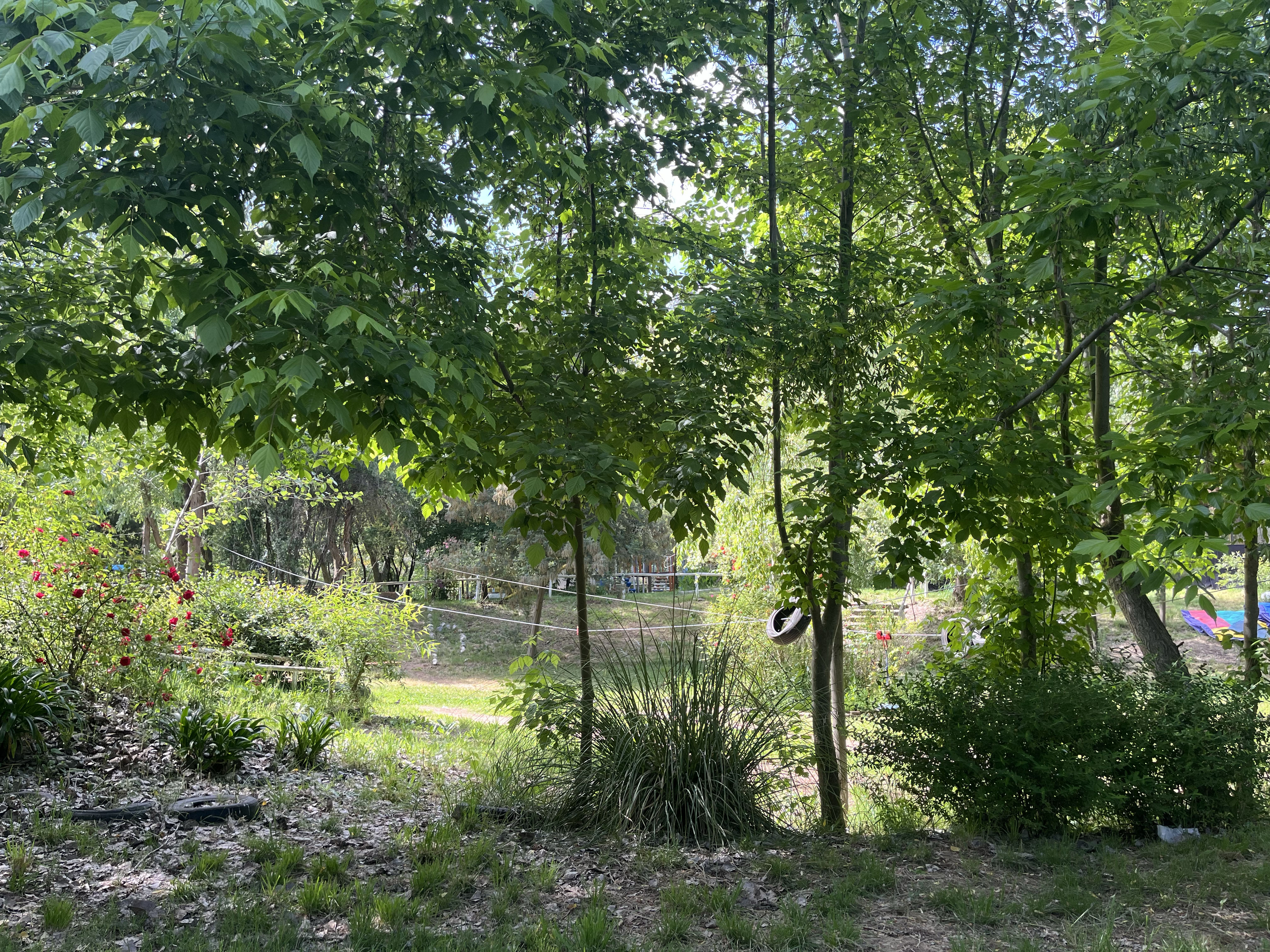 Naturaleza en Raigüen